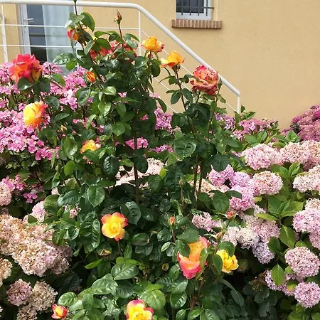 Bed & Breakfast Entre Vert Et Bleu *